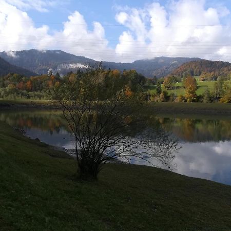 Apartament Haus Schneider Andelsbuch Zewnętrze zdjęcie