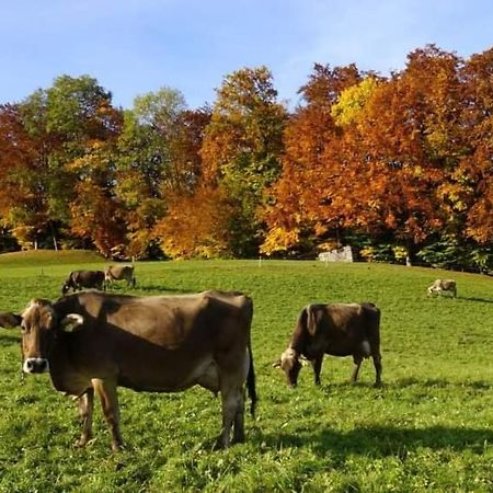 Apartament Haus Schneider Andelsbuch Zewnętrze zdjęcie