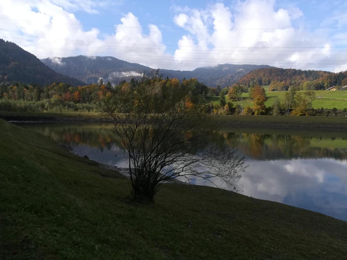 Apartament Haus Schneider Andelsbuch Zewnętrze zdjęcie